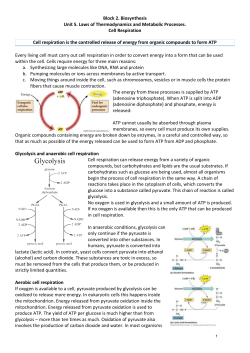 The equation below summarizes the results of metabolic pathways