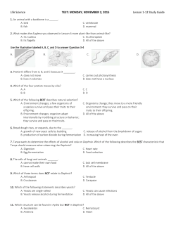 Lesson 1-12 Study Guide