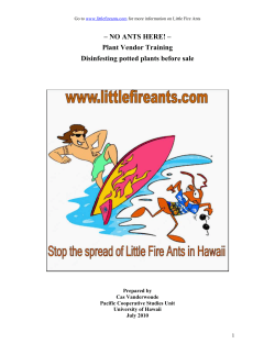 NO ANTS HERE! &ndash; Plant Vendor Training Disinfesting potted plants