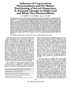 Influence of Crop Load on Photosynthesis and Dry Matter