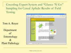 Greenbug Expert System and &ldquo;Glance `N Go&rdquo; Sampling for Cereal