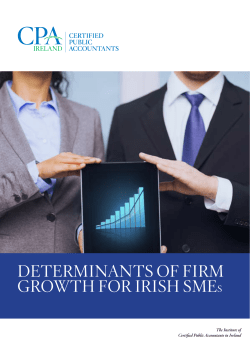 determinants of firm growth for irish smes