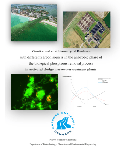 Kinetics and stoichiome with different carbon sources in the
