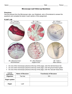 Microscope Lab Follow Up Questions