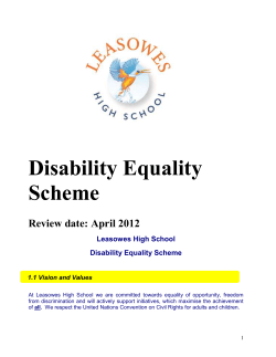 Disability Equality Scheme