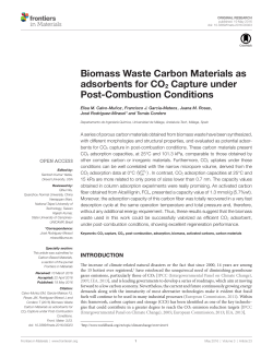 Biomass Waste Carbon Materials as adsorbents for CO﻿2