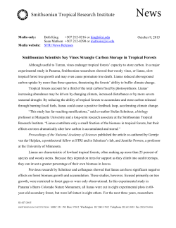 Smithsonian Scientists Say Vines Strangle Carbon Storage in