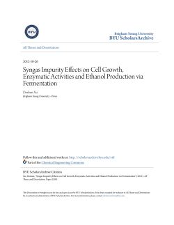 Syngas Impurity Effects on Cell Growth, Enzymatic Activities and