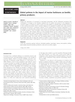 Global patterns in the impact of marine herbivores on benthic