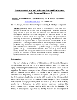 Development of new lead molecules that specifically target Cyclin