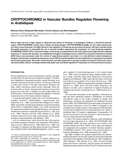 CRYPTOCHROME2 in Vascular Bundles Regulates Flowering in