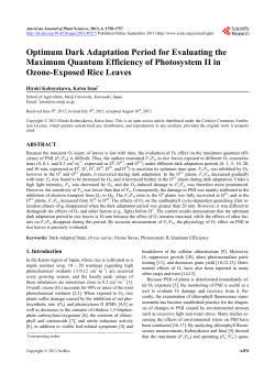 Optimum Dark Adaptation Period for Evaluating the Maximum