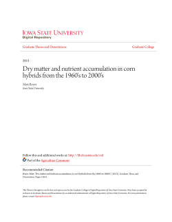 Dry matter and nutrient accumulation in corn hybrids from the 1960`s
