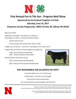 First Annual Fun In The Sun - Progress Beef Show