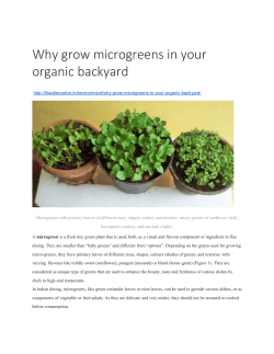Micro-greens-Bala - Food and Agriculture Organization of the
