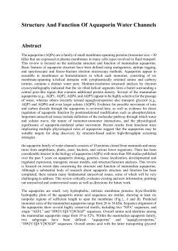 Structure And Function Of Aquaporin Water Channels