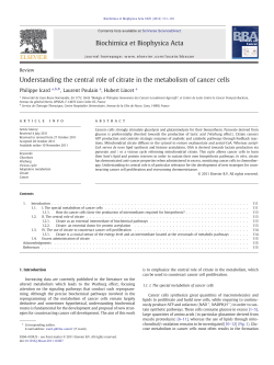 Understanding the central role of citrate in the metabolism of cancer