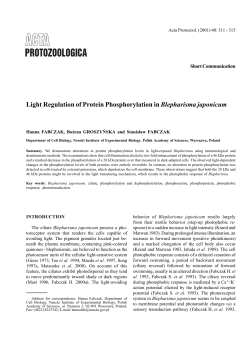 Light Regulation of Protein Phosphorylation in Blepharisma japonicum