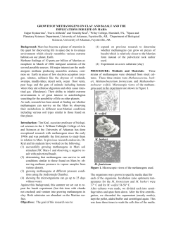 template for two-page abstracts in Word 97 (PC)