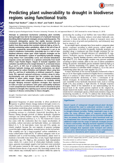 Predicting plant vulnerability to drought in biodiverse regions using