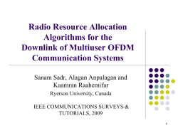 Radio Resource Allocation Algorithms for the Downlink of