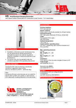 HS Acid-Resistant Hanging Electrodes with Glass