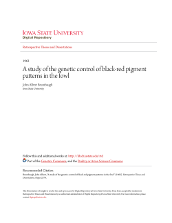 A study of the genetic control of black