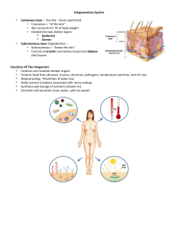 Integument - Austin Community College