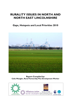 rurality issues in north and north east lincolnshire
