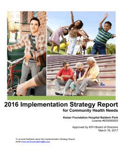2016 Implementation Strategy Report