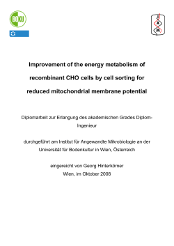Improvement of the energy metabolism of recombinant CHO cells by