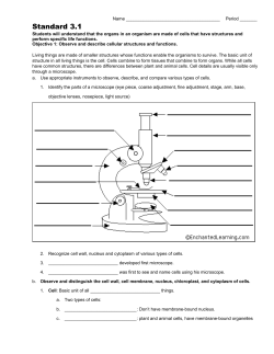 Name Period Standard 3.1 Students will understand that the organs