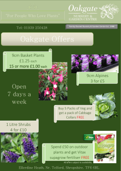 1 Litre Shrubs 4 for &pound;10 9cm Basket Plants &pound;1.25