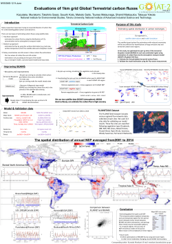 Evaluations of 1km grid Global Terrestrial carbon fluxes