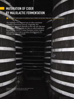 MatUratiON OF ciDer BY MalOlactic FerMeNtatiON
