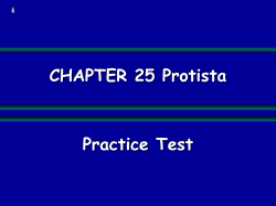 TeacherWeb