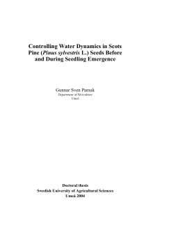 Controlling Water Dynamics in Scots Pine