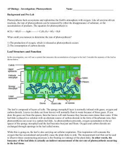 3. What will happen if you remove the air from these spaces?