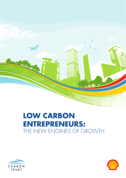 Low Carbon Entrepreneurs