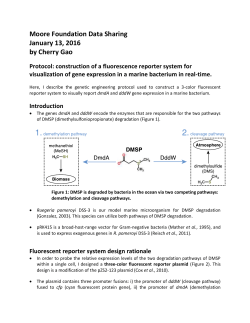 Protocol - Stocker lab