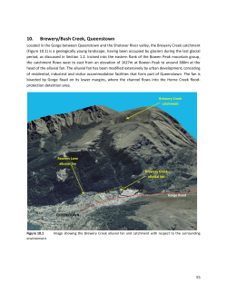 10. Brewery/Bush Creek, Queenstown