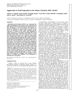 Suppression of Stra8 Expression in the Mouse Gonad by WIN 18,446