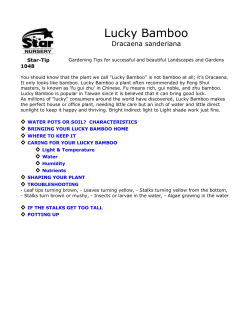 TP1048X1 - Healthy Nevada Home Garden Trees Plants