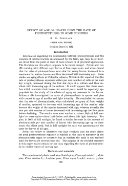 EFFECT OF AGE OF LEAVES UPON THE RATE