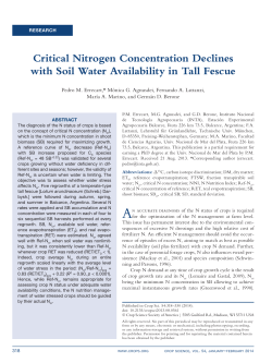 Critical Nitrogen Concentration Declines with Soil