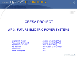 CEESA PROJECT WP3: FUTURE ELECTRIC POWER SYSTEMS