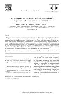 The energetics of anaerobic muscle metabolism: a