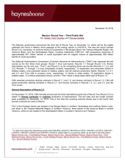 Section 1 - Haynes and Boone, LLP