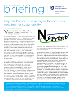 Beyond Carbon: The nitrogen footprint is a new tool for sustainability