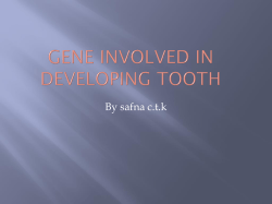 finding the genes responsible for non-syndromic tooth
